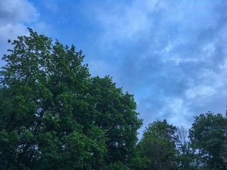 Blue sky with grey clouds before rain with green tops of the trees. April, Spring. Abstract Background