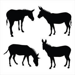 Vector illustration of donkeys standing in different poses. Set of silhouettes of four mules in black on a white background. Side view, in profile, full face. Image for eco banner, farm animals, zoo.