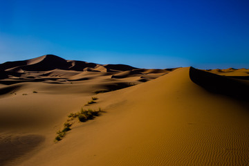 Fototapeta na wymiar Dunas en el desierto del Sahara durante el día