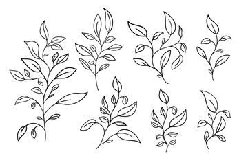 Vector hand drawn set of various silhouette branches with leaves in outline technique on the white background.