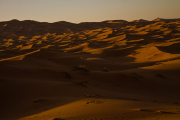 Fototapeta na wymiar Desierto del Sahara