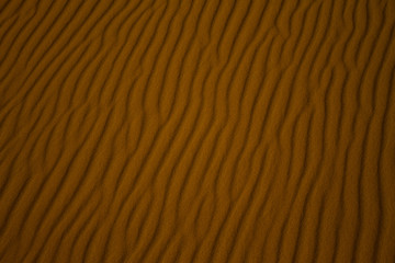 Marcas del viento en el desierto de Sahara