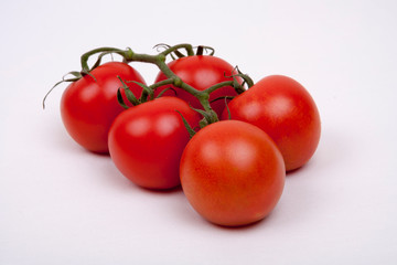 tomatoes on a vine