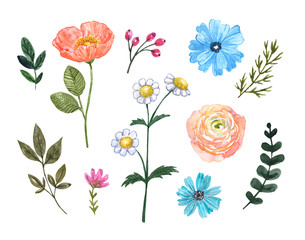 Watercolor wildflower set. Hand painted blue, pink, orange s, greenery foliage and leaves, isolated on white background. Floral design elements. Great for wedding design, greeting cards