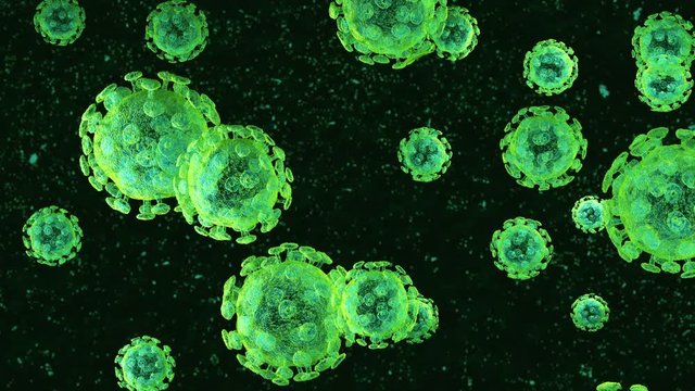 COVID-19 virus of human