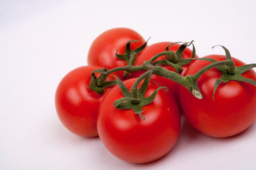 tomatoes on a vine
