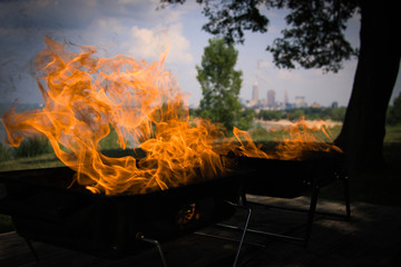 BBQ Fire 2