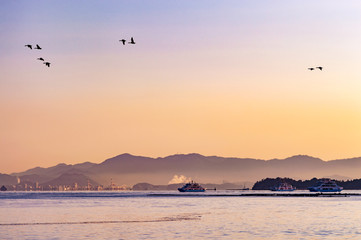 Beautiful dawn sunrise over Hiroshima bay, Seto Inland sea of Japan in Hiroshima, Japan