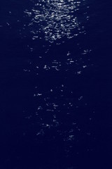 満月の月光　ムーン・ロード