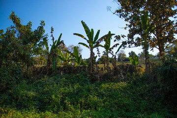 Fototapeta premium A beatiful view of Chiang Rai city at Thailand.