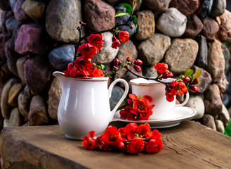  white porcelain teaset and red quince flowers on a wooden table in the garden