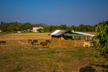 A beatiful view of Chiang Rai city at Thailand.