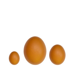 Three eggs of the same color, but of different sizes, large, medium, small. All eggs are dark yellow.copyspace for text. Flatlay.