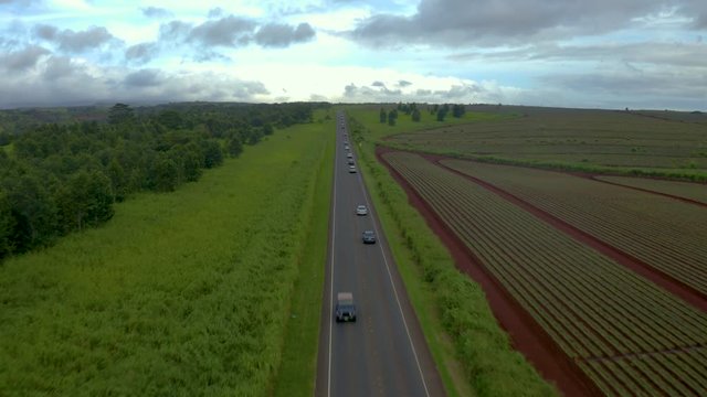 Busy Highway With Cars Passing A Pineapple Farm In Hawaii, Aerial.