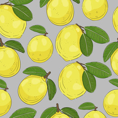 Lemon fruit vector gray