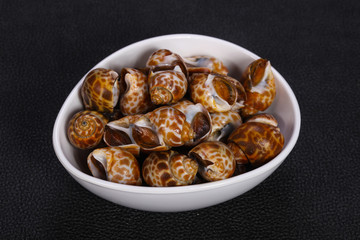 Tasty mollusk - spotted Babylon in the bowl