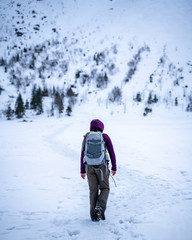 Samotny wędrowiec w górach zimą