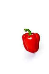 Red bell pepper stands on a white background. Bright color. One object isolated on white background.