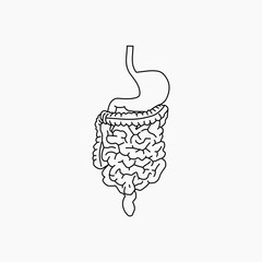 vector illustration of Digestion outline design