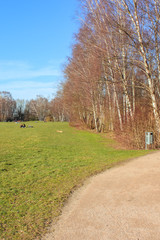 Tremoniapark in Dortmund, North Rhine-Westphalia, Germany. City park photographed on a sunny day in the autumn season. Tree without leaves, people in far background. Tremonia Park