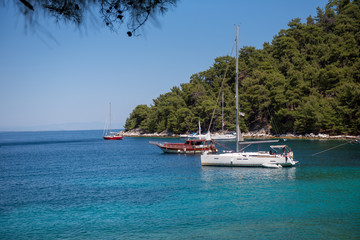 boats in the bay