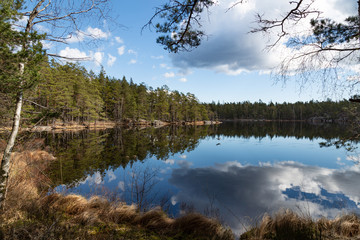 Fototapeta na wymiar Scandinavian nature, reflection of clouds and trees in the lake