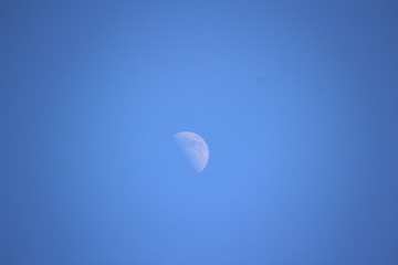 上弦の月