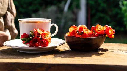 white porcelain cup with tea and red quince flowers on a wooden table in the garden
