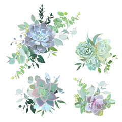Green colorful succulent bouquets vector design objects