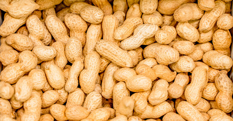 peanut in a shell texture. food background of peanuts