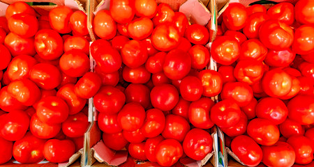 Yellow tomatoes in a box on a shelf in a supermarket. Yellow and red tomatoes with tails in a plastic container top view.