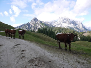 Spaziergang im Berchtesgadener Land
