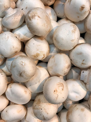 Fresh champignons. Champignon mushrooms background