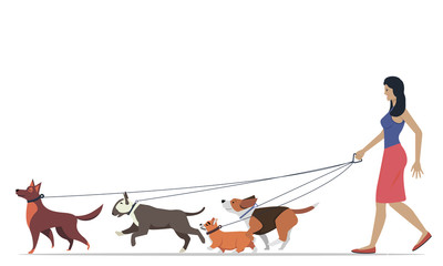 Women walking the dogs of different breeds. Active people, leisure time. Set of flat vector illustrations.