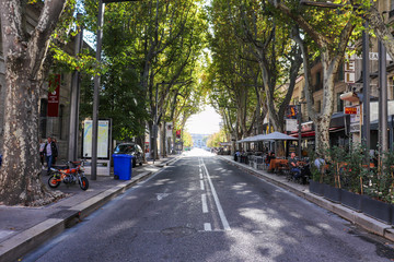 Fototapeta na wymiar street in the city with tall trees either side