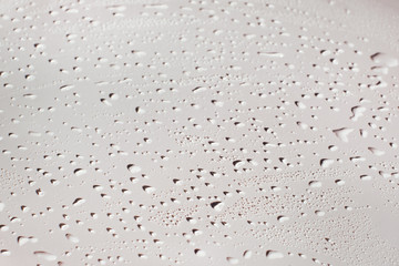 Horizontal close up texture or wallpaper of drops of water or rain on white background on sunlight with shadows. Freshness concept. Selective focus