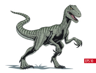Fototapeta Velociraptor dinosaur, comic style vector illustration obraz