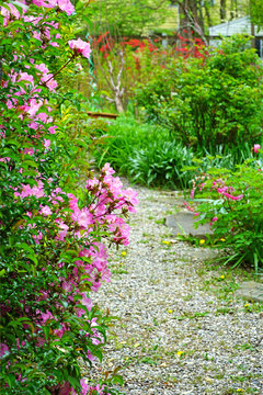 A gravel path in a romantic cottage garden in spring