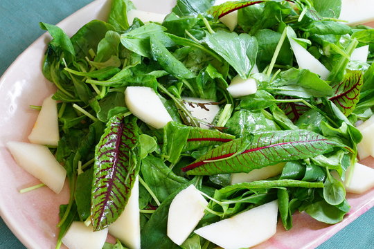 Mixed pear and green salad including leaves of blood dock red sorrel plant rumex sanguineus