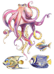 octopus and tropical fish - colored pencil illustration
