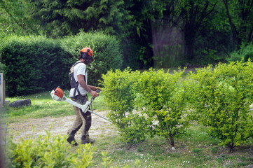 entretiens des espaces vert