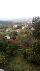 Fototapeta na wymiar Nature in Portugal