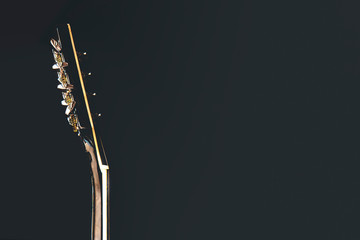 Flat lay detail view of mandoline fingerprint and tuning pegs, moody illuminated image from top...