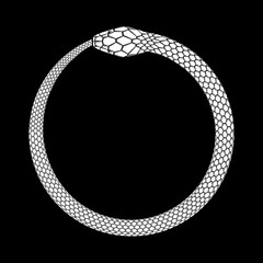 Ouroboros icon, detailed symbol of snake eating its own tail. White vector illustration EPS 10 - 346272587
