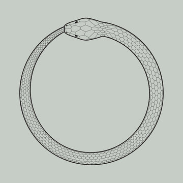 Ouroboros icon, symbol of snake eating its own tail. Vector illustration EPS 10