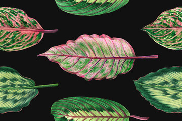 Watercolor painting colorful tropical palm leaf,green leaves seamless pattern background.Watercolor hand drawn illustration tropical exotic leaf prints for wallpaper,textile Hawaii aloha jungle style. © nongnuch_l
