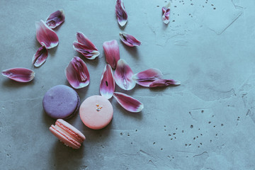 Flat-lay of sweet pink and purple macaron cookies and petals of spring tulip flowers over blue concrete texture background, top view, wide composition. Food texture, background and wallpaper