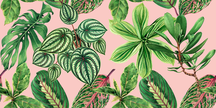 Watercolor painting colorful tropical palm leaf,green leaves seamless pattern background.Watercolor hand drawn illustration tropical exotic leaf prints for wallpaper,textile Hawaii aloha jungle style.