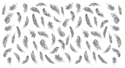 Vector Black and White Feather Pattern. Feather icon set. Hand drawn illustration. Doodle sketch.