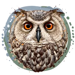 Printed roller blinds Owl Cartoons Owl. Realistic, artistic, color portrait of an eared owl in watercolor style on a white background.